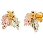 Earrings - by Landstrom's